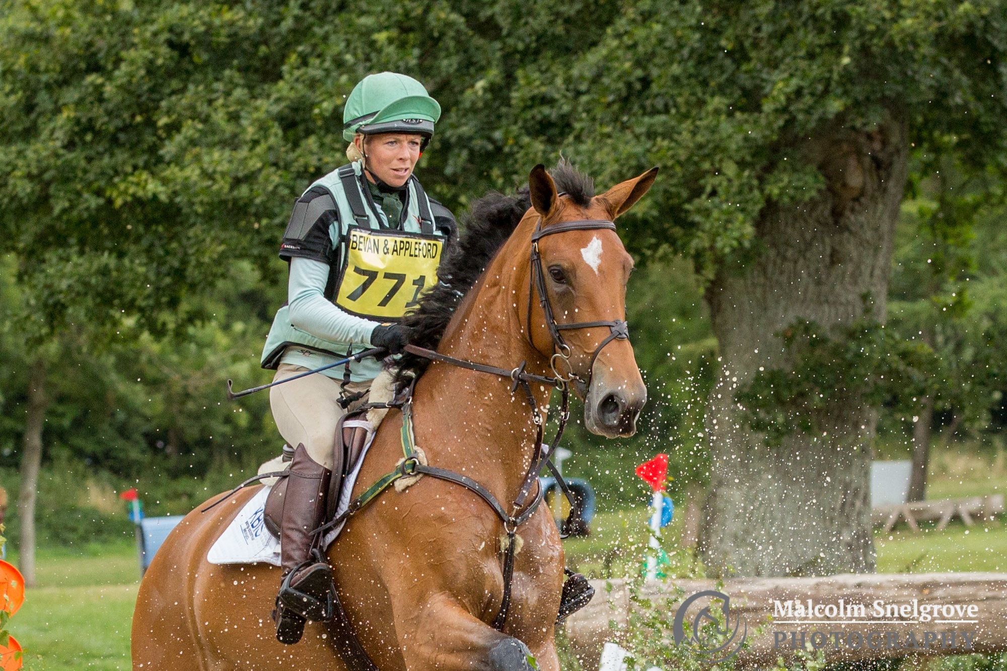 Young horse sponsors at Bicton Arena international