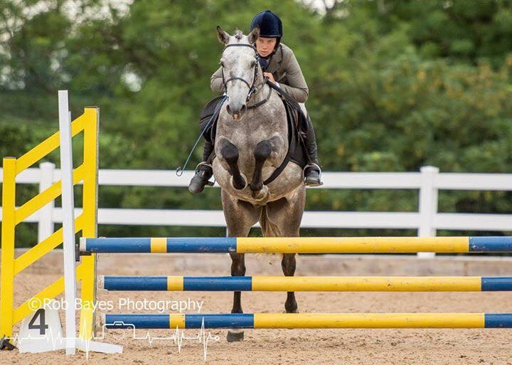 Blog post: Rachael Honeyball