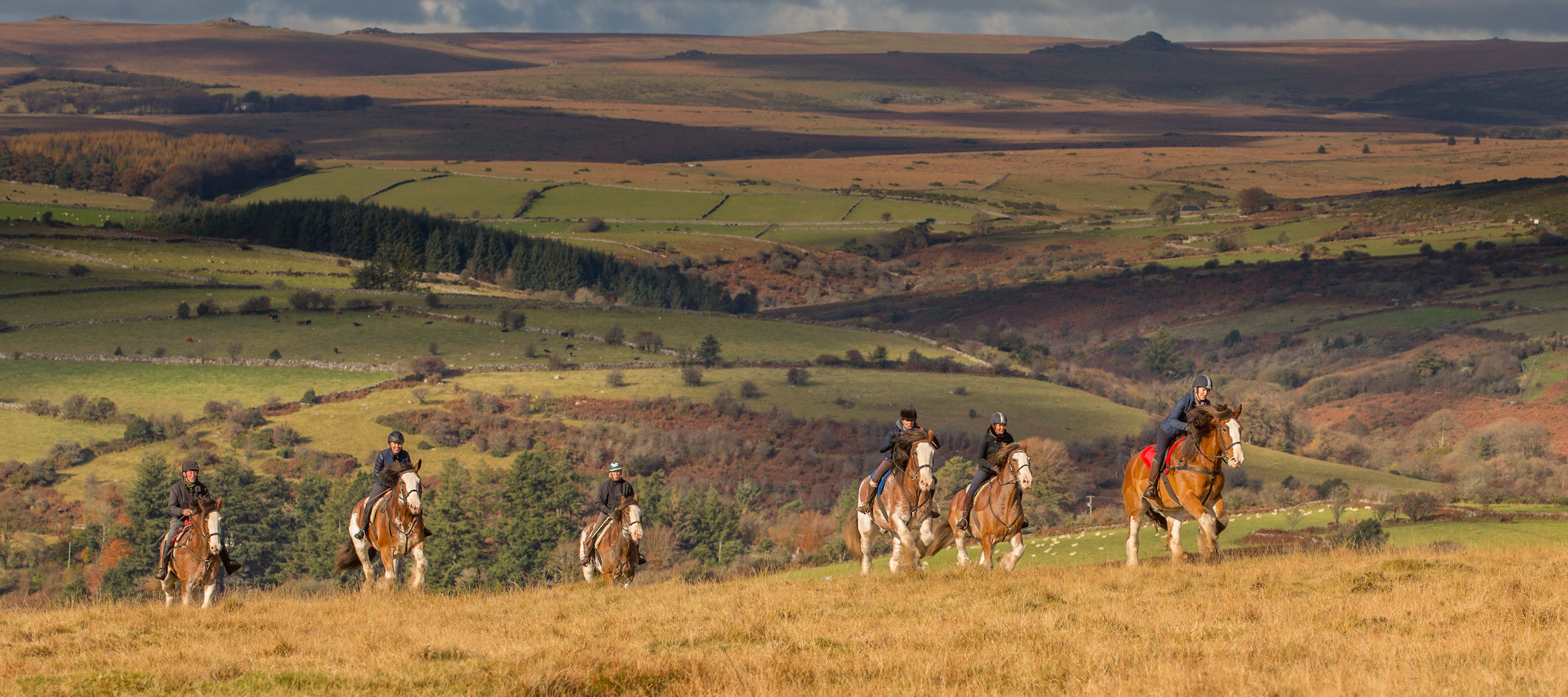 Every picture tells a story – photography workshops with Malcolm Snelgrove