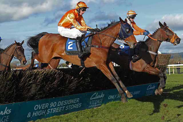 Pet specialist business sponsors the Somerset National
