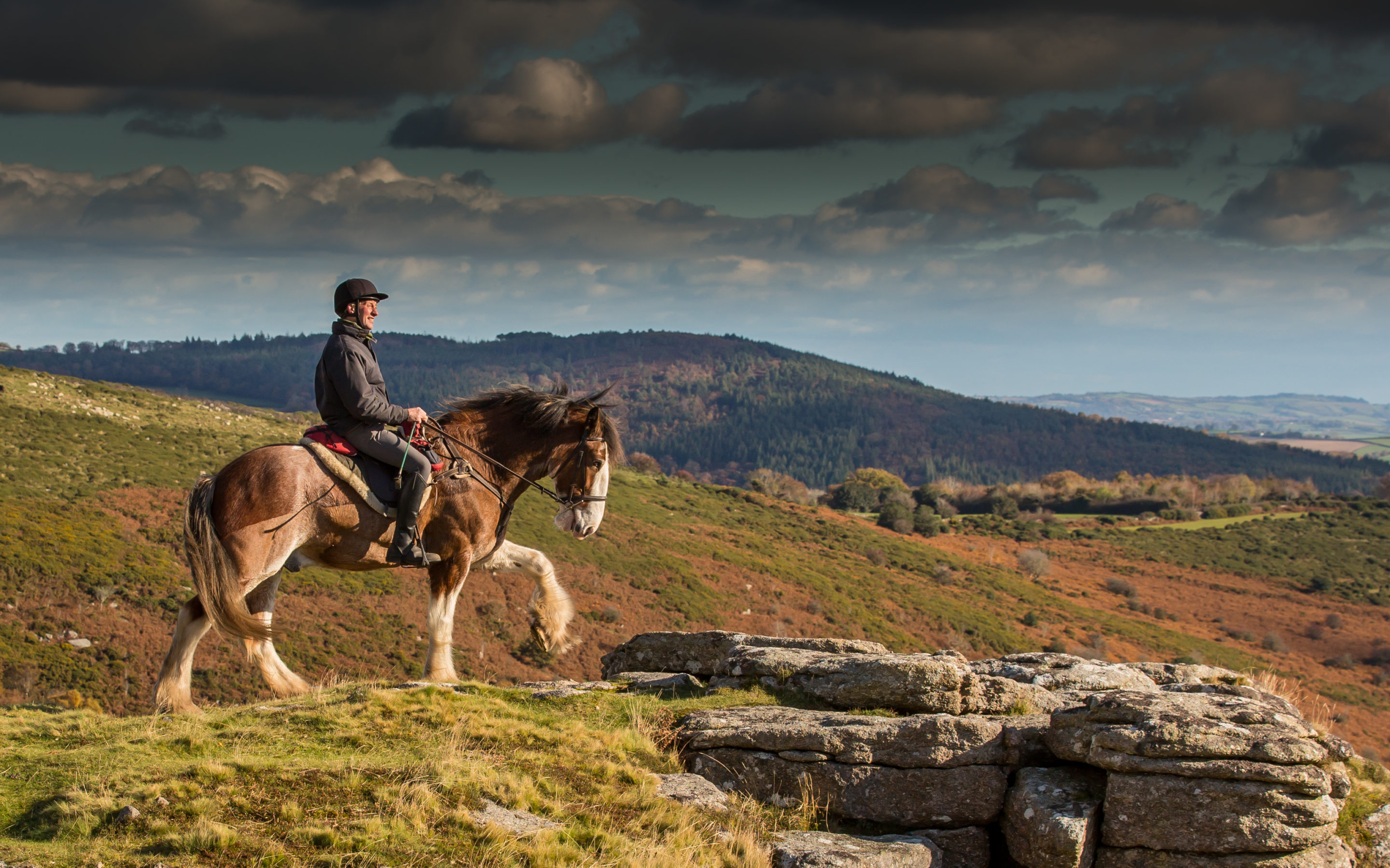 Dartmoor’s famous Clydesdales in race for a new home